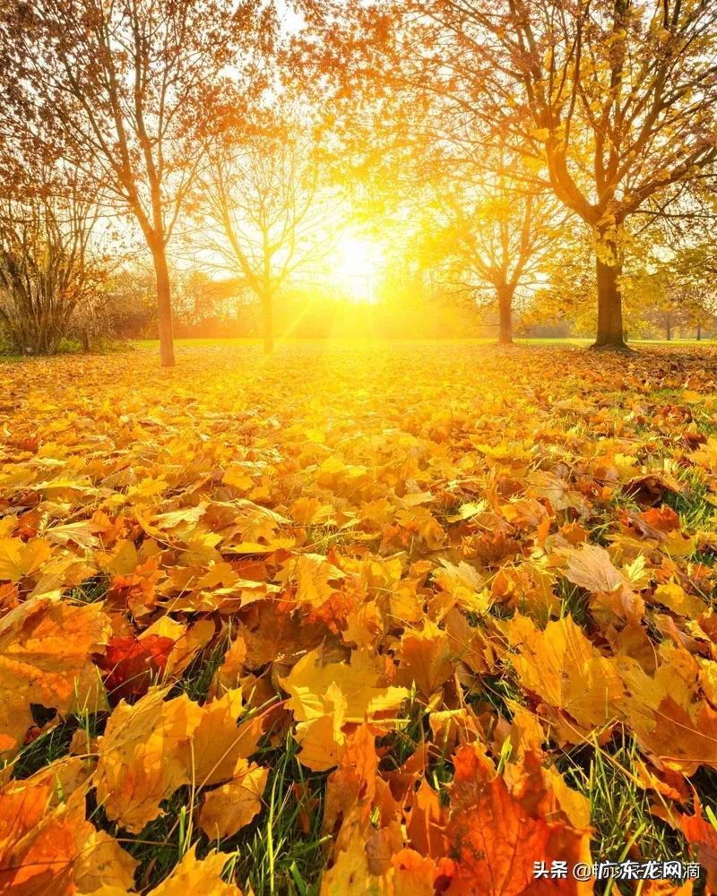 八月初一风水说法是什么