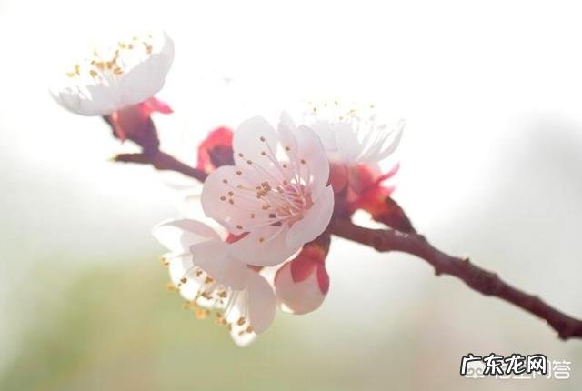 眼睛长皱纹了，还有做眼部护理的必要吗？