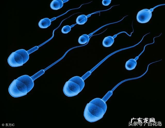 引发男性和女性不孕不育的原因都有什么?