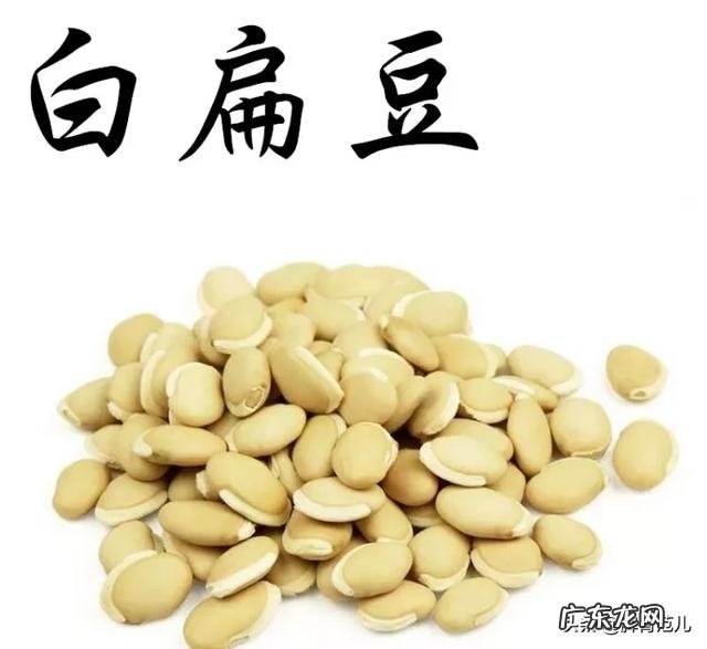 吃什么能健脾补肾?