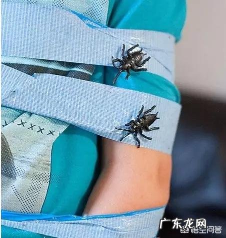 如何锻炼孩子的社交能力?