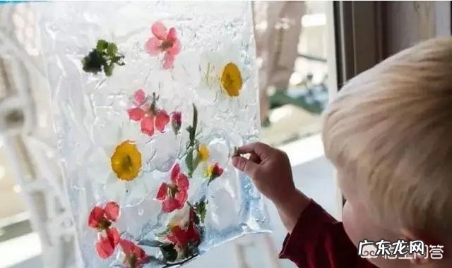 如何锻炼孩子的社交能力?