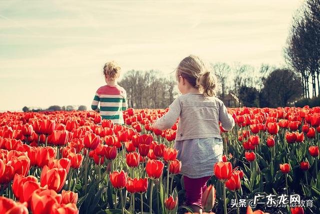 如何锻炼孩子的社交能力?