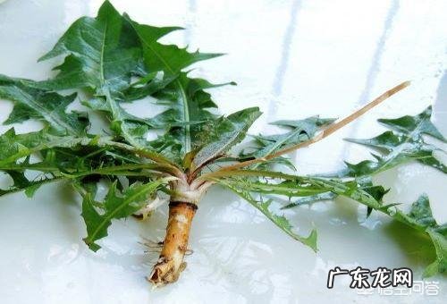 肝不好，身体会有“1痛2臭3变色”，指的是什么？