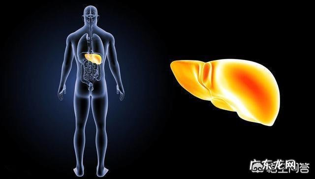肝不好,身体会有“1痛2臭3变色”,指的是什么?