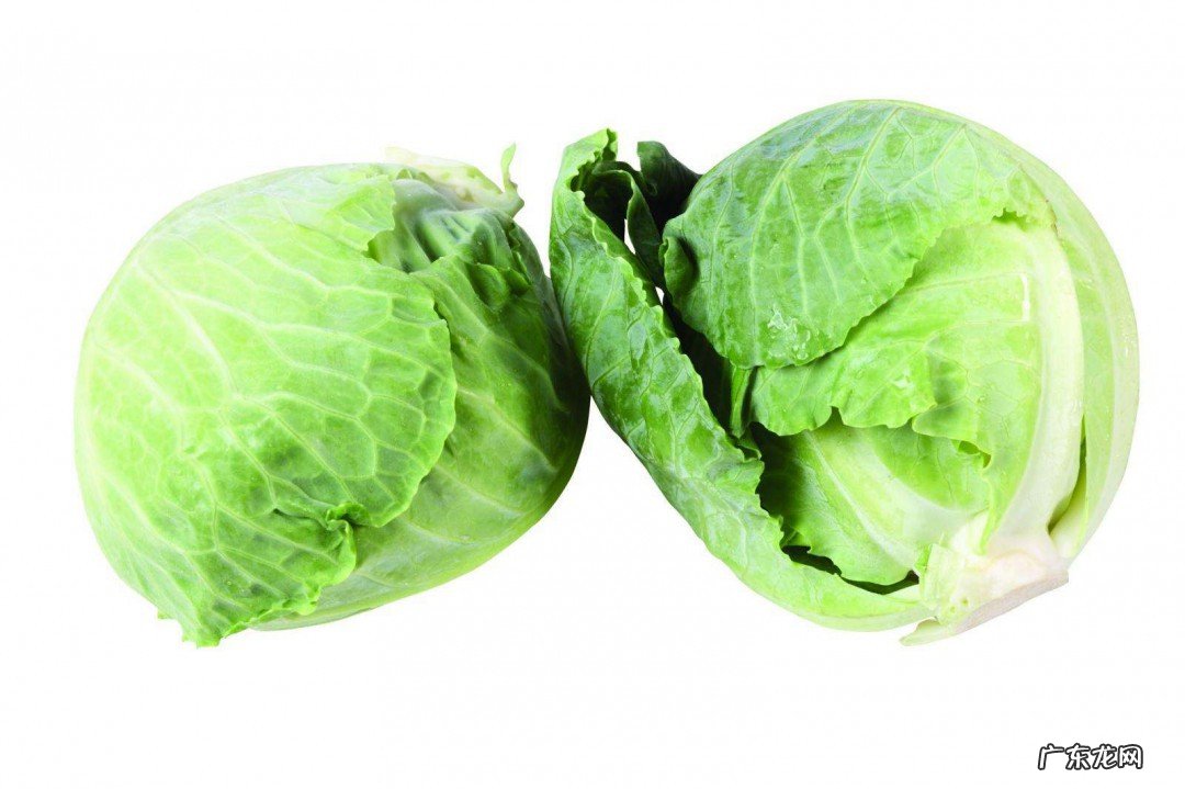 卷心菜酸菜的做法