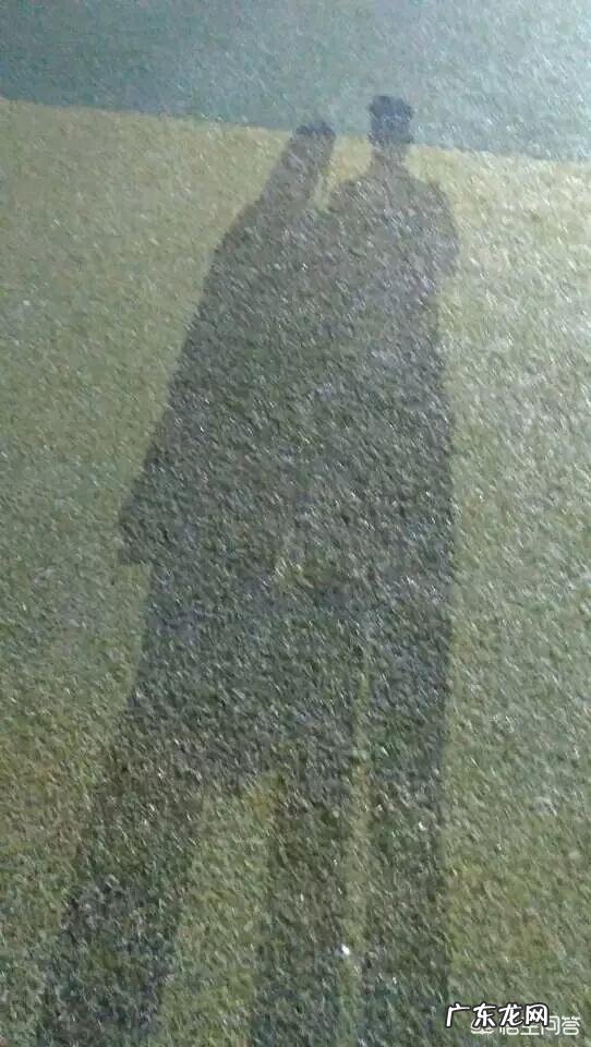 男人对女人动了情,一般有哪些表现?