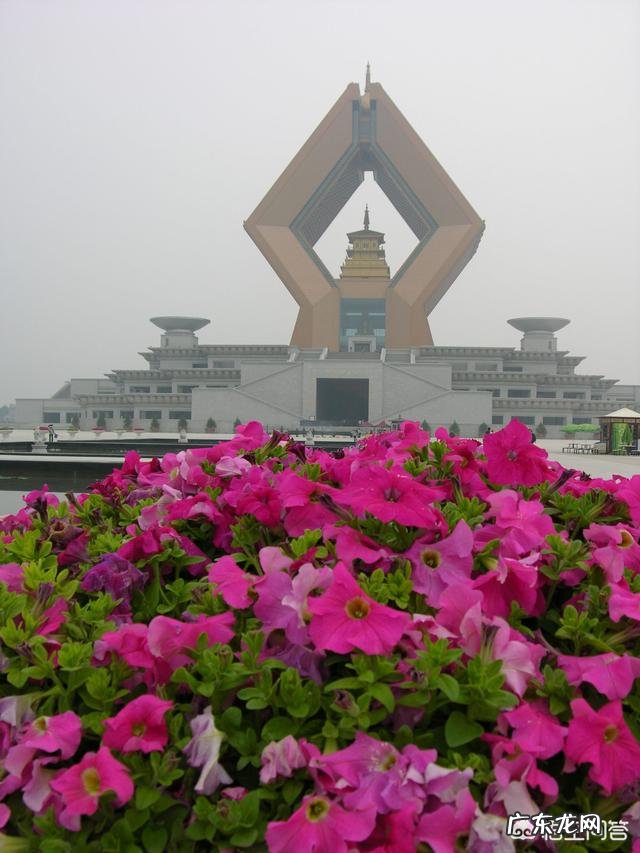 如果想给过世的年轻人立碑,有什么讲究?应该注意什么?