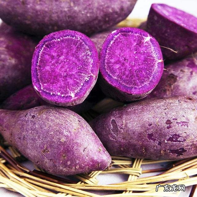 白薯、红薯、紫薯,哪个营养价值更高?