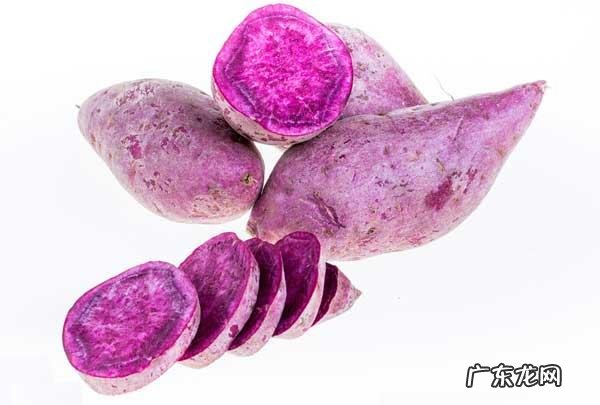 白薯、红薯、紫薯,哪个营养价值更高?