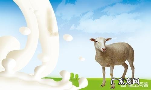 有人说羊奶为什么不能长期喝,是真的吗?如果是真的,长期喝羊奶有坏处吗是否有科学依据?