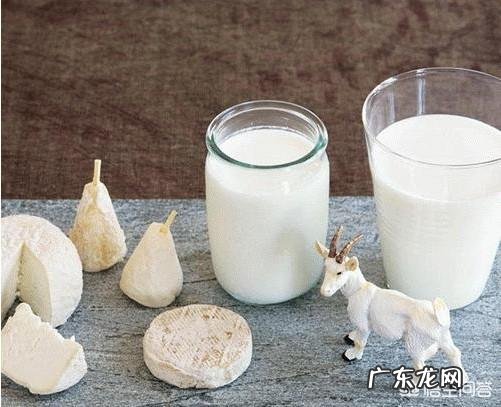 有人说羊奶为什么不能长期喝,是真的吗?如果是真的,长期喝羊奶有坏处吗是否有科学依据?