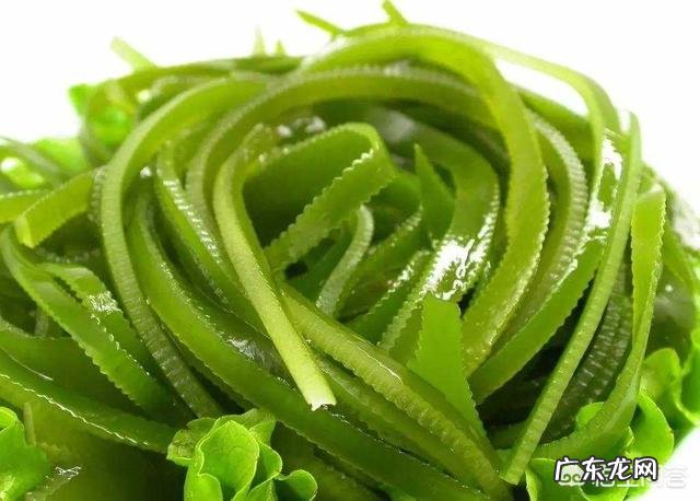 海带有哪些营养价值？