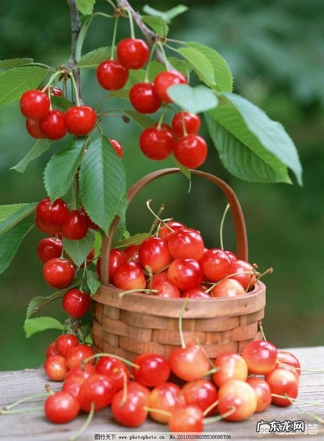 春季应该如何保健身体?