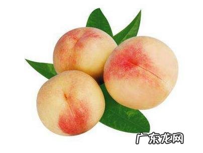 桃子的热量高吗,多吃会胖吗?