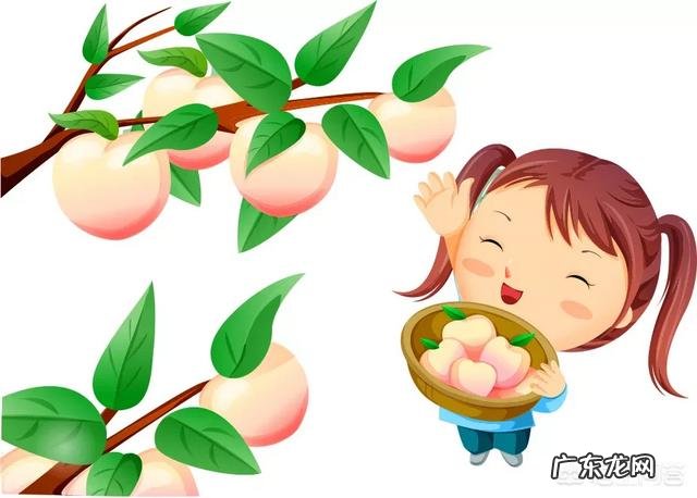 桃子的热量高吗，多吃会胖吗？