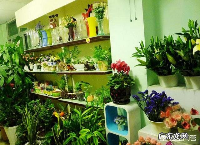 现在开什么网店比较好?