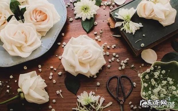 有哪些说到心坎的忧伤句子跟心情语录呢?