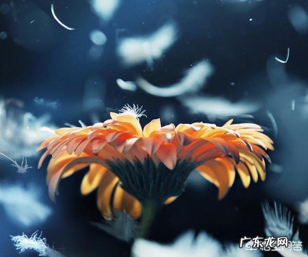 有哪些说到心坎的忧伤句子跟心情语录呢?