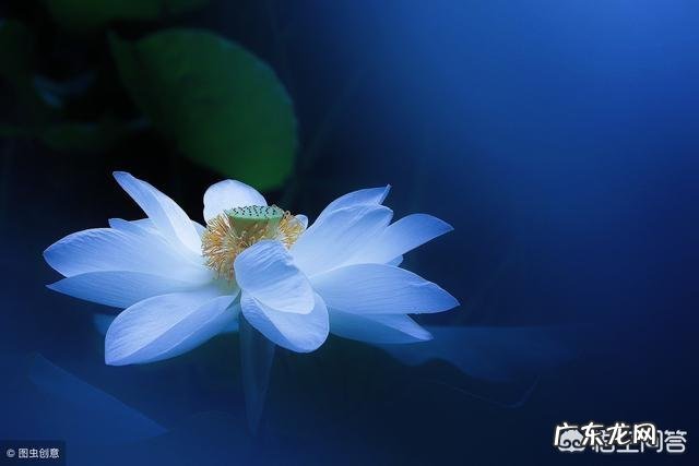 有哪些说到心坎的忧伤句子跟心情语录呢?