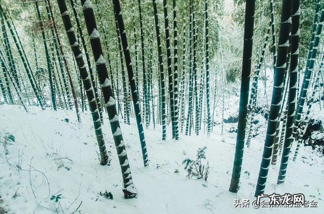能否把你珍藏的雪景照片发出来?