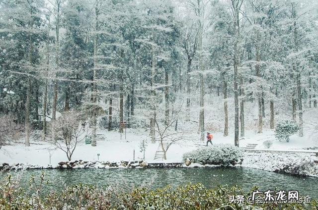 能否把你珍藏的雪景照片发出来?