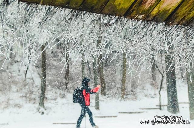 能否把你珍藏的雪景照片发出来?