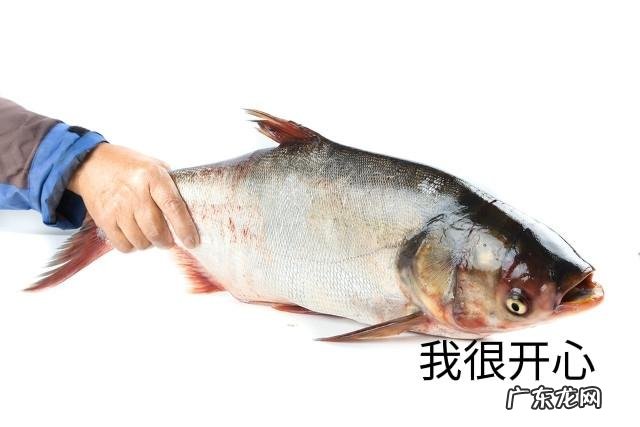 女人梦见好多鱼是胎梦吗 孕妇梦见好多鱼是什么意思