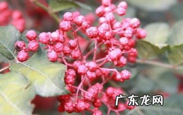 古人定情时都有哪些信物?