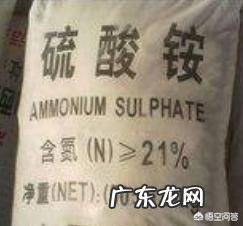 常用的氮肥品种有哪些?性质及施用特点是什么?