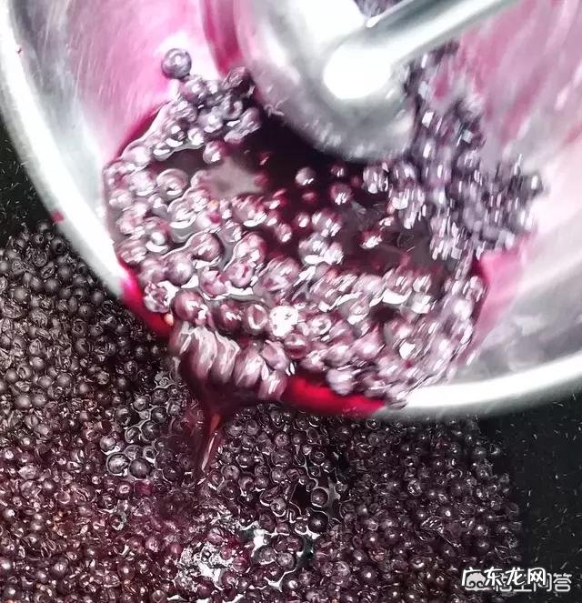 怎样自制葡萄酒?