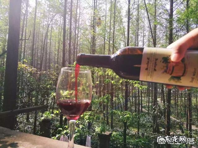 怎样自制葡萄酒?