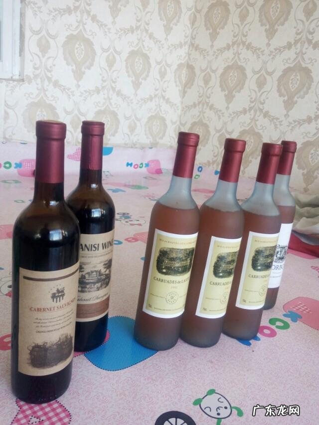 怎样自制葡萄酒?