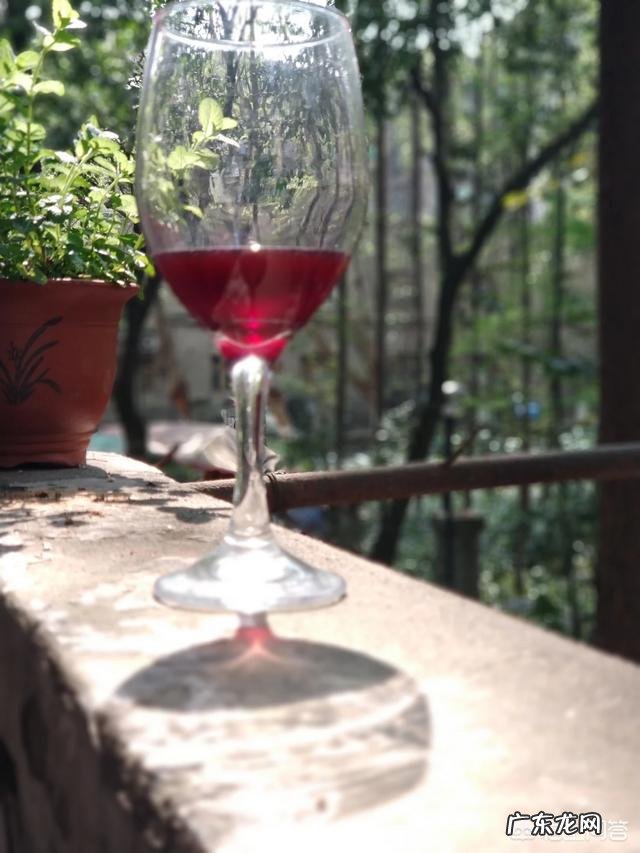 怎样自制葡萄酒?