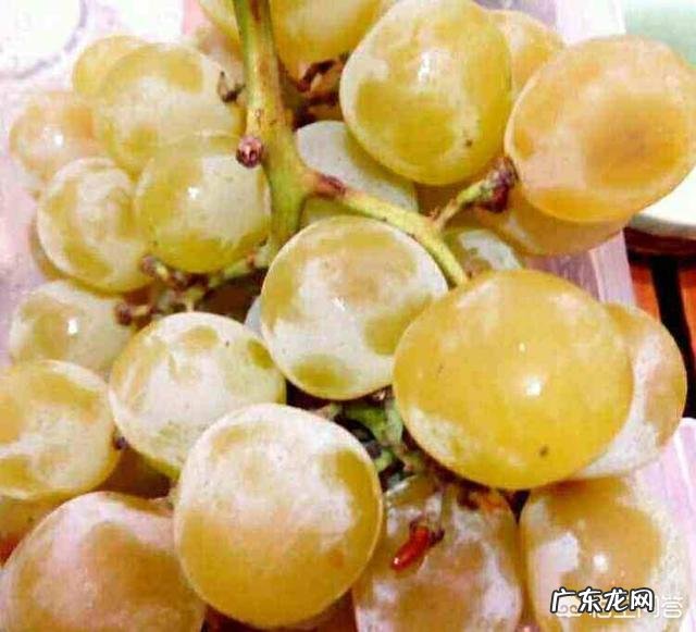 怎样自制葡萄酒?