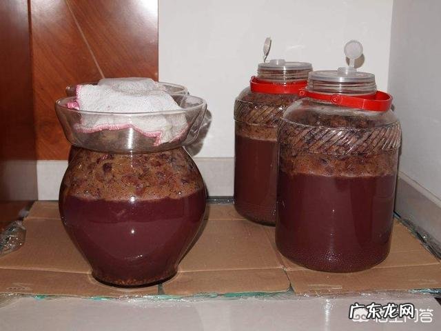 怎样自制葡萄酒?