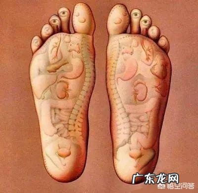 有人说:男人,肾功能好,一般有10个表现,具体都指哪些?又该如何养护肾脏健康?