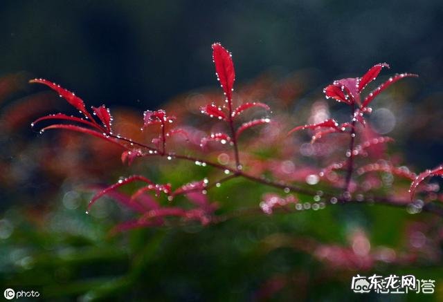 24节气是按照阴历计算还是按照阳历计算?