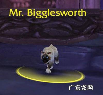 魔兽服务器列表