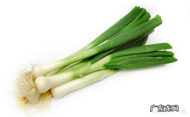 小儿经常感冒咳嗽有哪些食疗方法推荐?