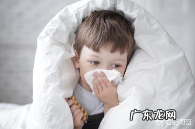 小儿经常感冒咳嗽有哪些食疗方法推荐？