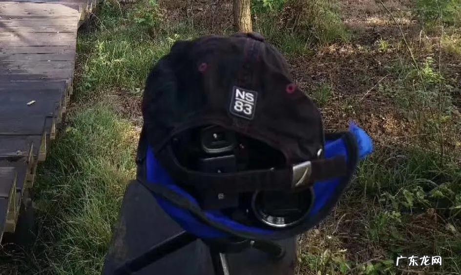 怎么输入手机号查快递 输入手机号查快递物流