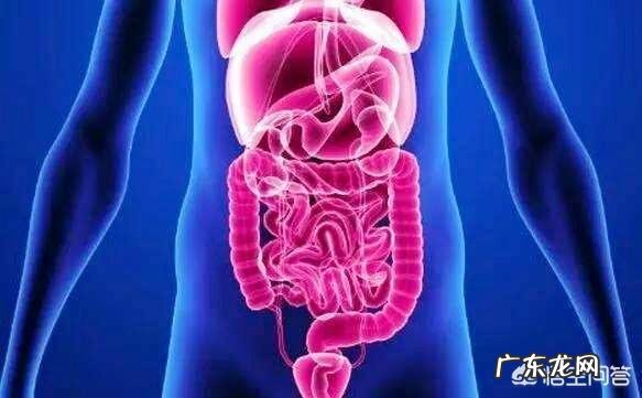 婴儿多久可以把屎把尿?