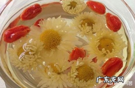 枸杞泡野菊花有什么功效?