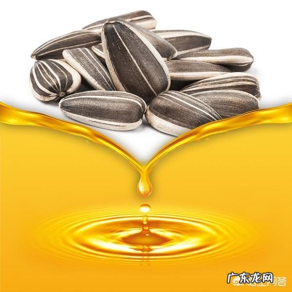 哪种食用油比较好?