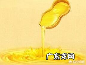 哪种食用油比较好?