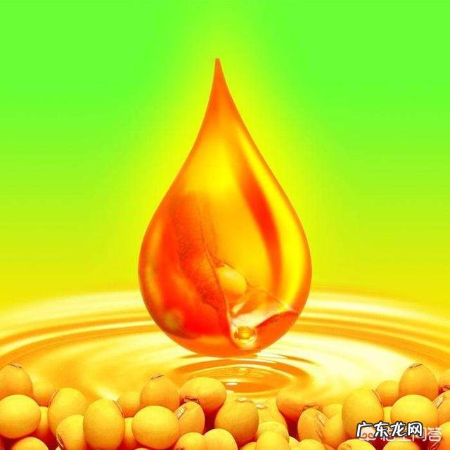 哪种食用油比较好?