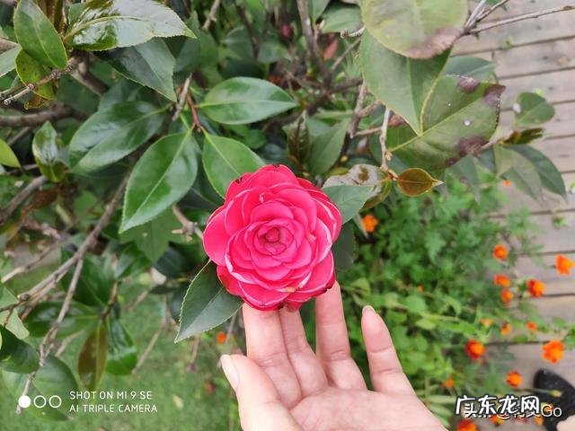 男女朋友分手后都是什么样的状态？