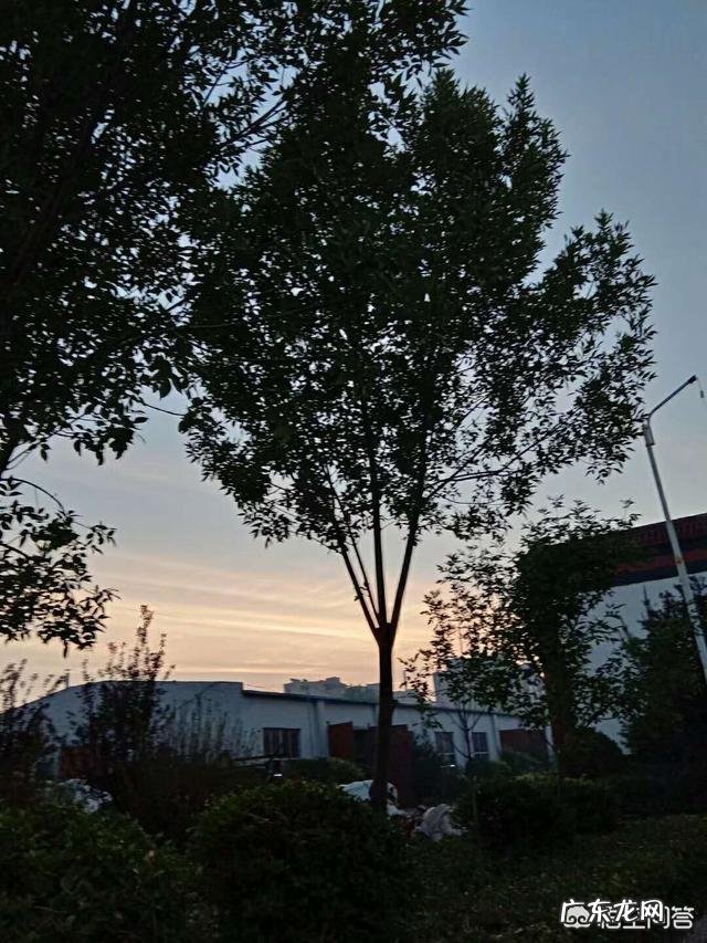 男女朋友分手后都是什么样的状态？