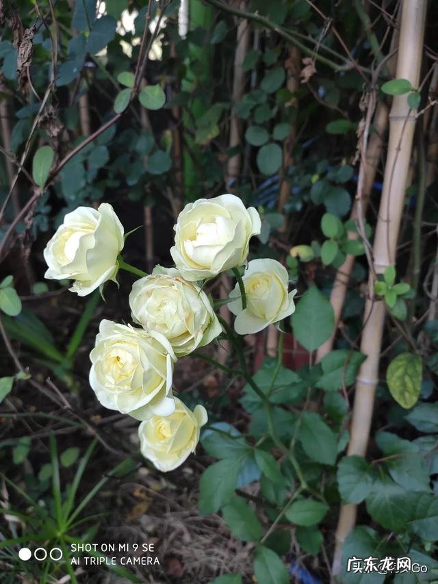 男女朋友分手后都是什么样的状态？